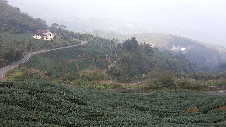 粉嶺族~梅山立牌撿不盡、輕騎已過36彎