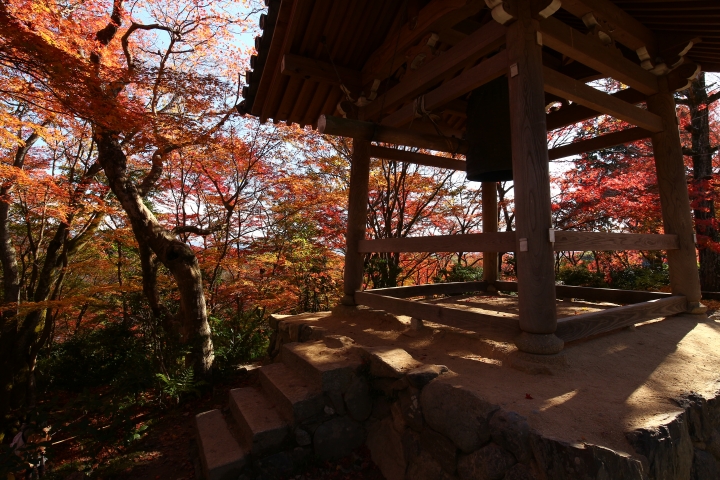 11/24~11/28京都賞楓