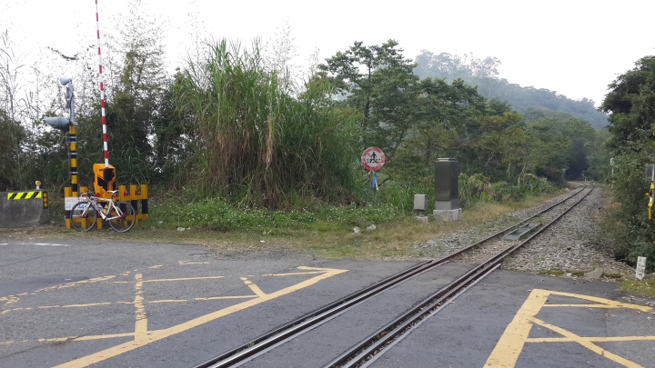 粉嶺族~梅山立牌撿不盡、輕騎已過36彎