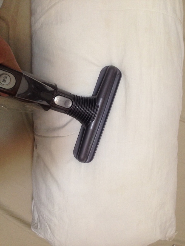 Dyson ballfluffy+ 吸塵器開箱文