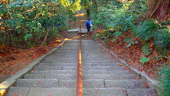 日本三大奇祭八嘎鴨肉~!~~!! 全日本壓馬路(株)
