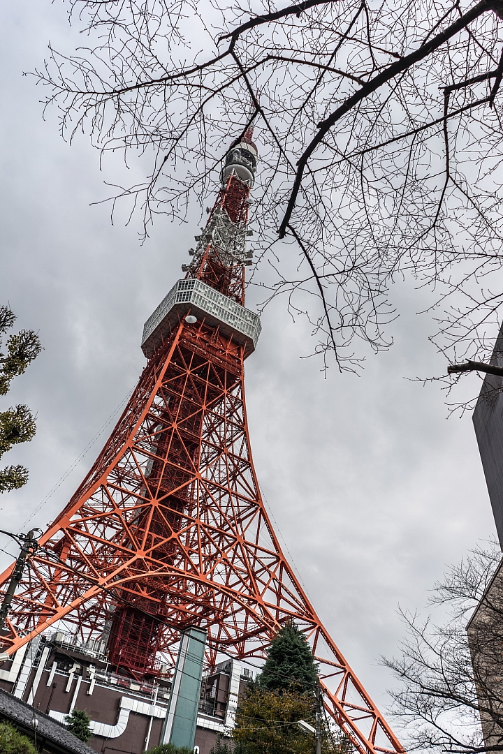 6分鐘帶大家走完6天的日本東京蜜月旅行