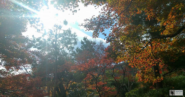 12月4日(第22批圖)-LG G4 & V10 精選作品