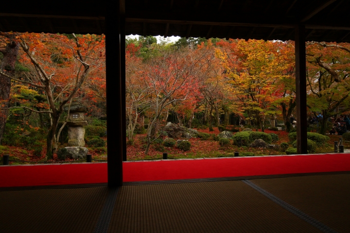 11/24~11/28京都賞楓