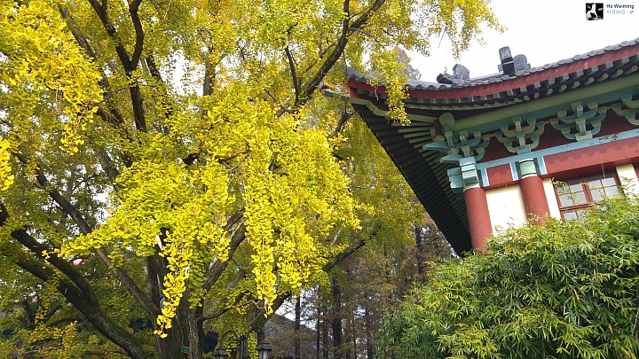 12月4日(第22批圖)-LG G4 & V10 精選作品