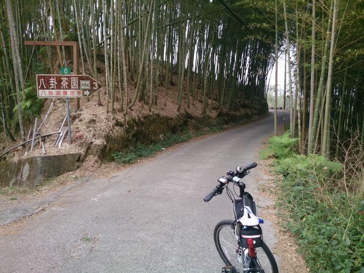 終於空出時間來騎車了………「彰化===竹山八卦茶園」……我是神經病????