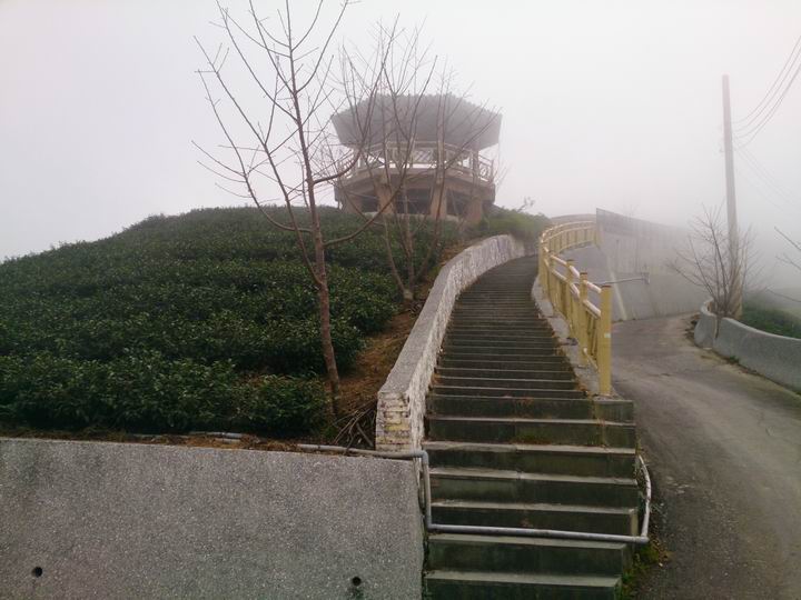 終於空出時間來騎車了………「彰化===竹山八卦茶園」……我是神經病????