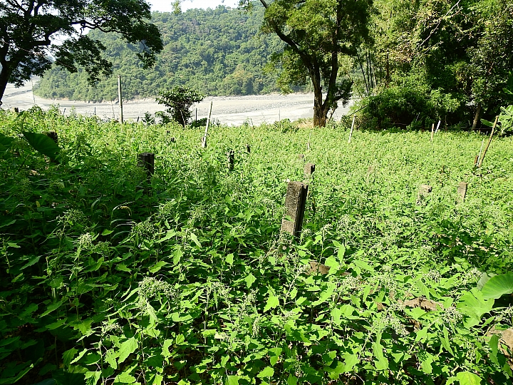 回到原始歲月,山地門的原住民村落,並期待12月26日山川琉璃吊橋免費開放3個月。