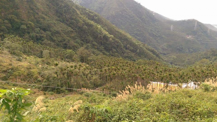 粉嶺族~梅山立牌撿不盡、輕騎已過36彎
