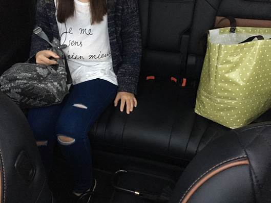 去宜蘭參加婚禮看到很多LUXGEN