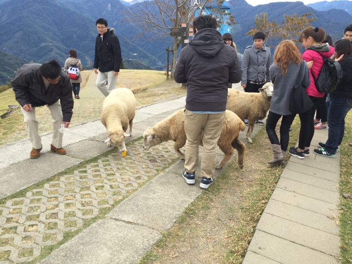 一個人的旅行