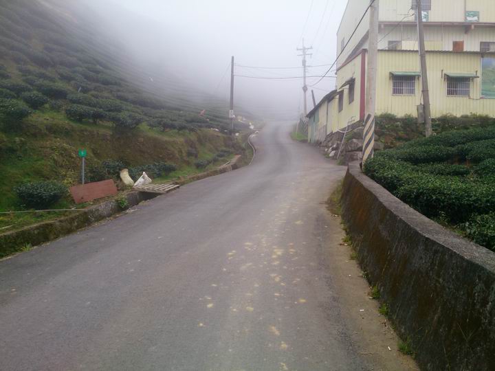 終於空出時間來騎車了………「彰化===竹山八卦茶園」……我是神經病????