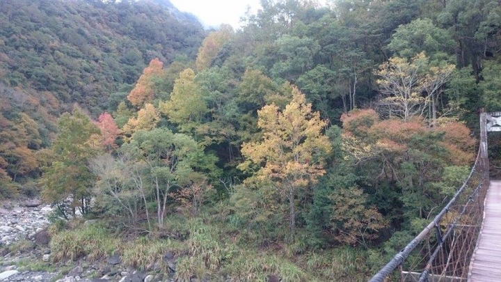 肥吱吱與綠胖胖之來去鎮西堡看楓葉(重機小旅行番外篇)