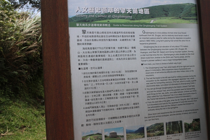 【遊記│台北陽明山】擎天崗大草原→環形步道→冷擎步道→冷水坑
