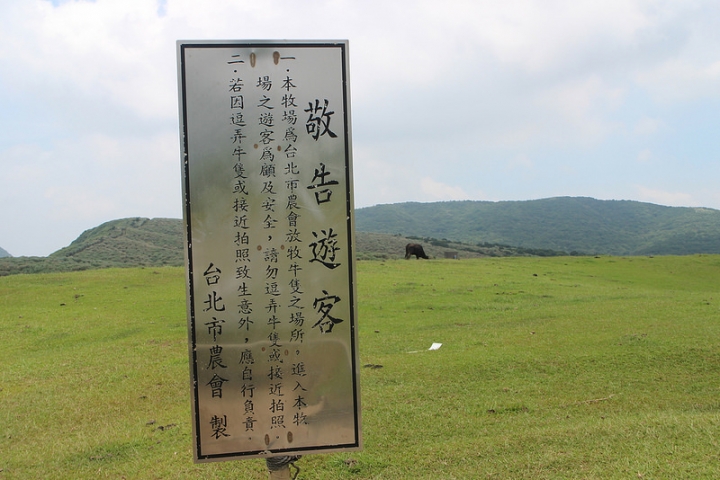 【遊記│台北陽明山】擎天崗大草原→環形步道→冷擎步道→冷水坑
