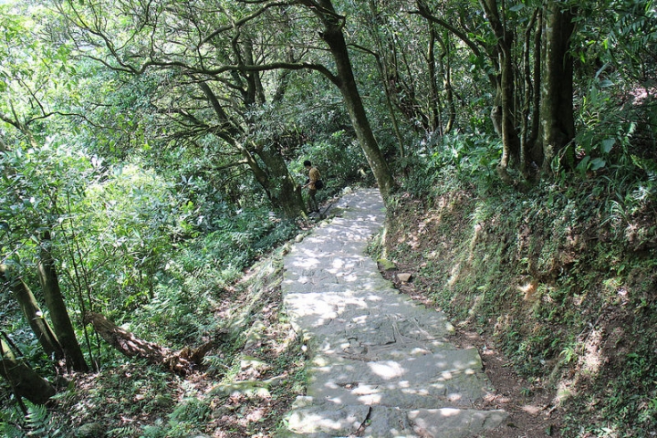 【遊記│台北陽明山】擎天崗大草原→環形步道→冷擎步道→冷水坑