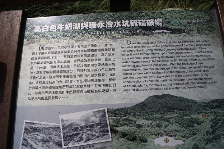 【遊記│台北陽明山】擎天崗大草原→環形步道→冷擎步道→冷水坑