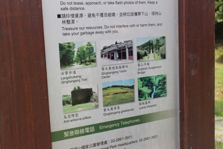【遊記│台北陽明山】擎天崗大草原→環形步道→冷擎步道→冷水坑