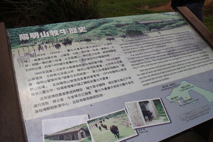 【遊記│台北陽明山】擎天崗大草原→環形步道→冷擎步道→冷水坑