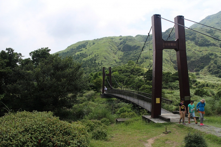 【遊記│台北陽明山】擎天崗大草原→環形步道→冷擎步道→冷水坑