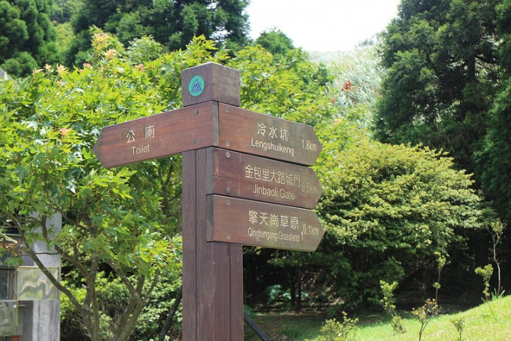 【遊記│台北陽明山】擎天崗大草原→環形步道→冷擎步道→冷水坑