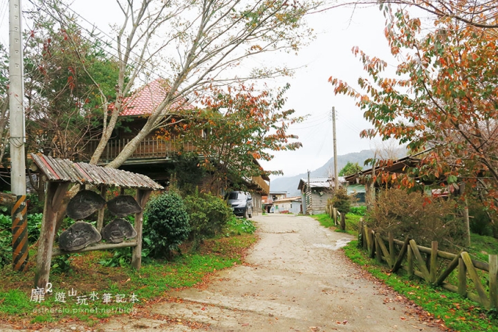 新竹賞楓遊~上帝的部落司馬庫斯Smangus 用餐住宿