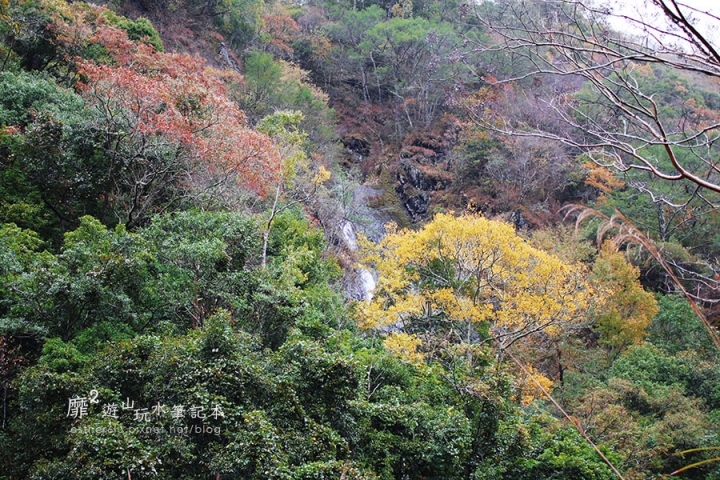 新竹賞楓遊~上帝的部落司馬庫斯Smangus 用餐住宿