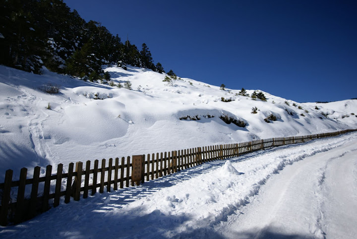 99年合歡山賞雪行