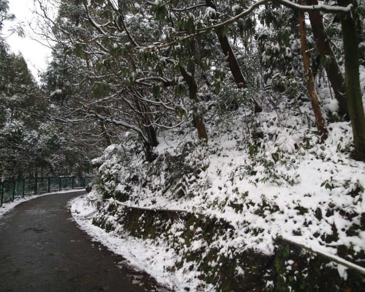 夢幻湖雪景之單車行