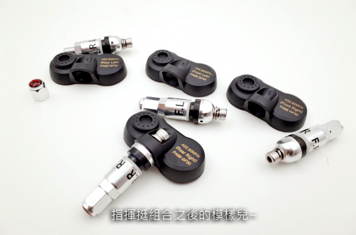 【使用紀錄】PAPAGO! TireSafe S60I