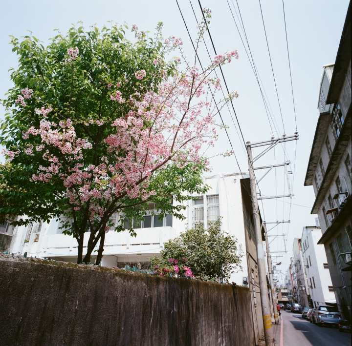 攝影巨擘的優雅,我的哈蘇第三部曲-Hasselblad 1000F
