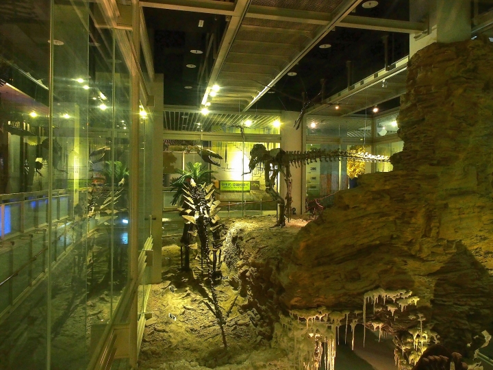 畢生第一次在博物館裡搭帳篷過夜,真難得的體驗 -- 三菱OUTLANDER 露營趣~和恐龍睡一晚 活動心得