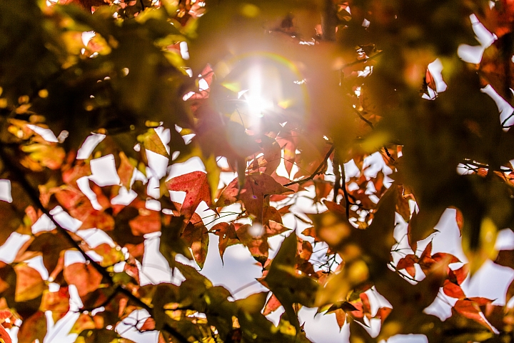 Fujifilm 35/1.4 35/2 選擇 和其他鏡頭配置一問