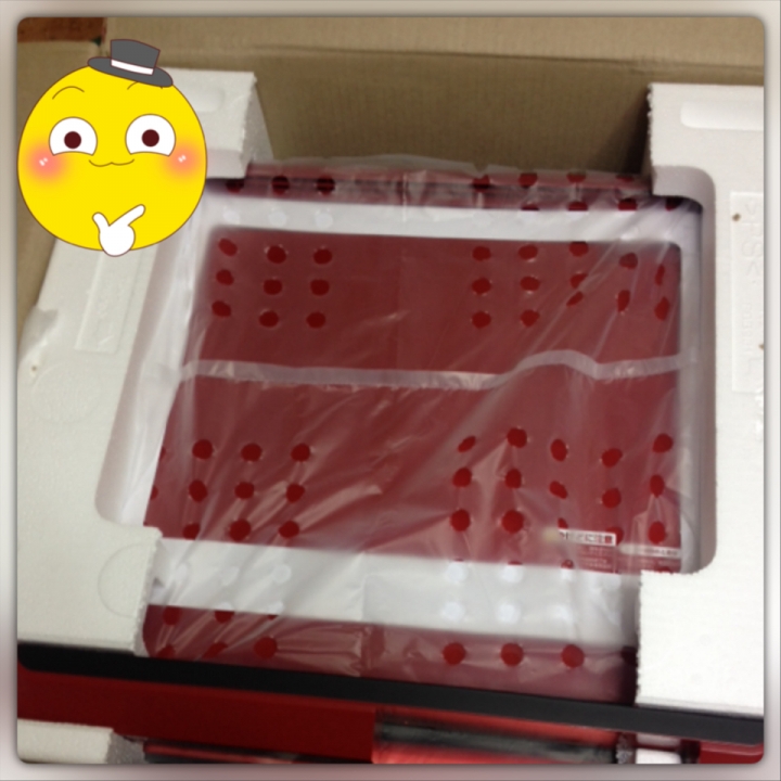 開箱 シャープ (SHARP) AX-XP200R 水波爐 日本海運