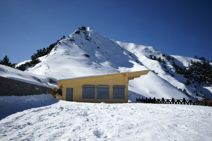 99年合歡山賞雪行