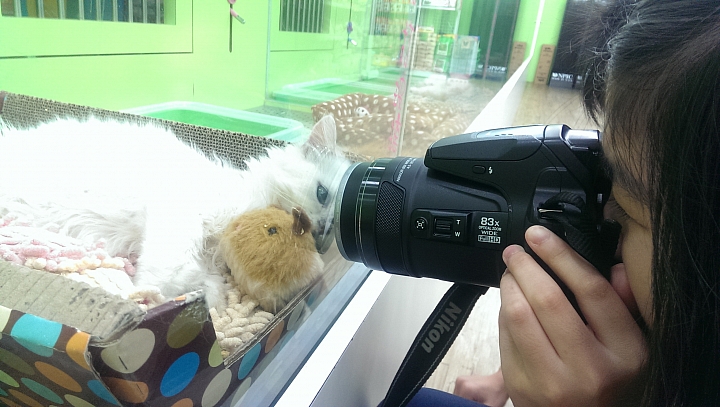Nikon P900近拍湯品,卻拍到自身鏡頭保護鏡的霧氣。