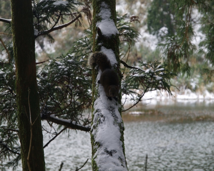 夢幻湖雪景之單車行