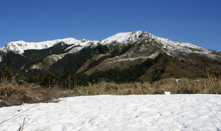 99年合歡山賞雪行