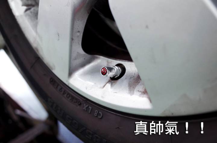 【使用紀錄】PAPAGO! TireSafe S60I