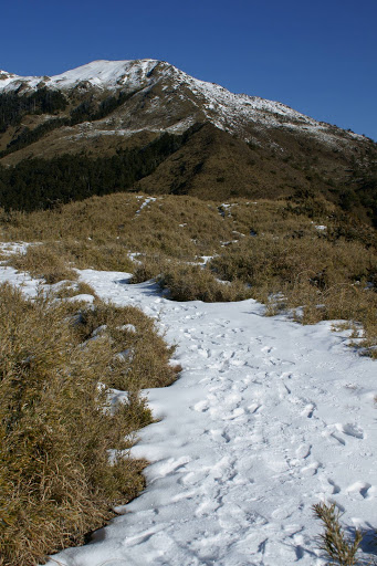 99年合歡山賞雪行