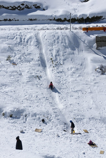 99年合歡山賞雪行