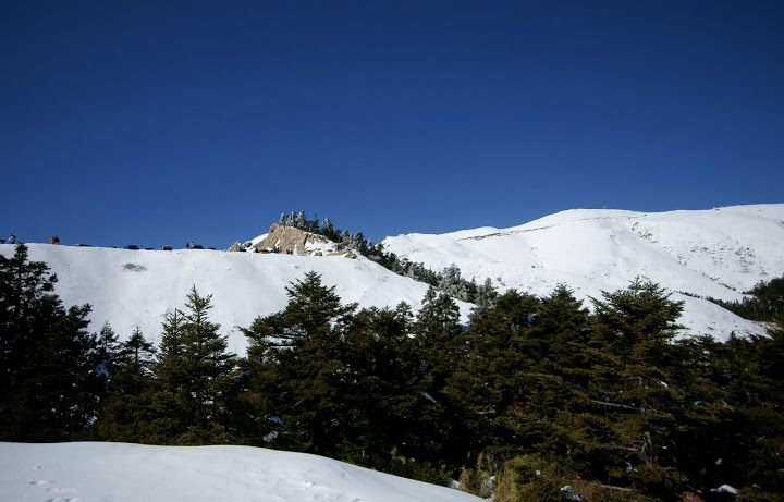 99年合歡山賞雪行
