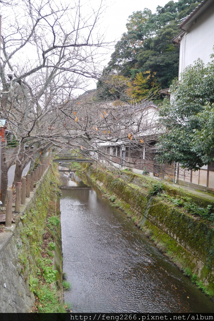 【日本兵庫 城崎溫泉】想要每年都去的-城崎大江戶溫泉飯店