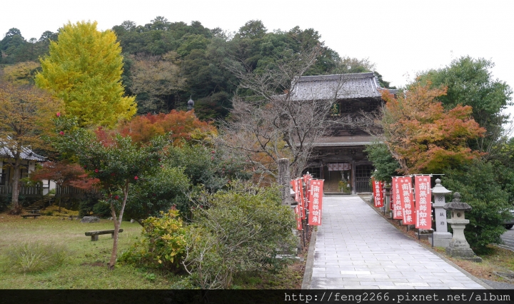 【日本兵庫 城崎溫泉】想要每年都去的-城崎大江戶溫泉飯店