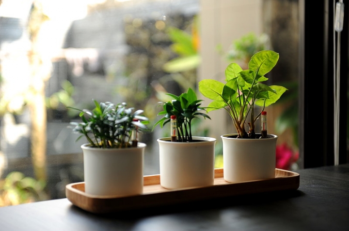 風和日麗 . 新屋開箱