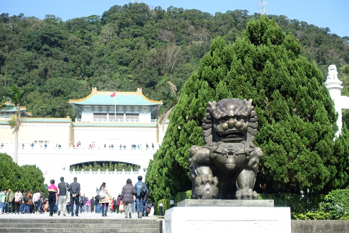 賞櫻趣之平菁街42巷