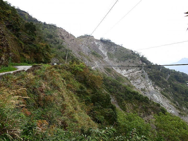 霧台上方山路一公里遠距拍櫻王,並介紹霧台再往上6.5公里的阿禮風光,也請關心台灣的山坡地。