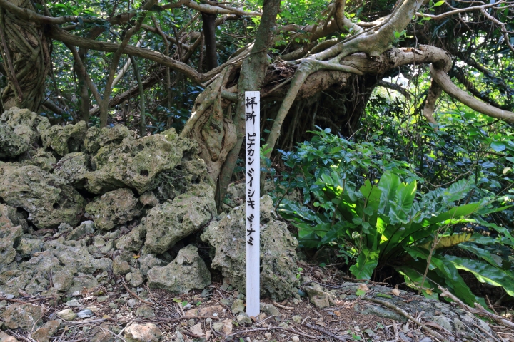 2016年日本沖繩那霸_石垣_波照間離島散步