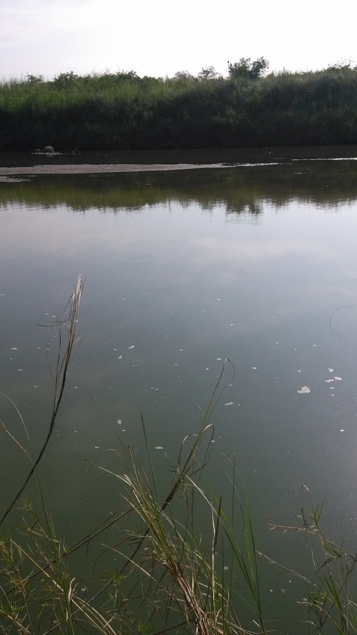 天氣冷大家有去釣魚嗎?