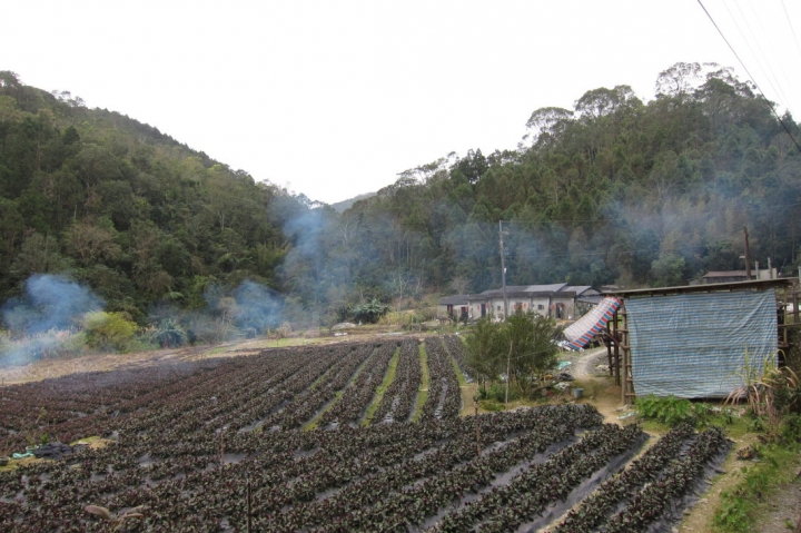 雙連埤